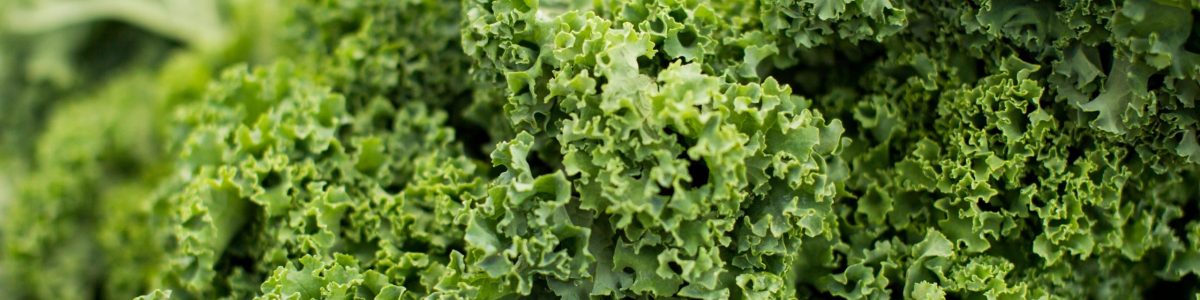 KALE